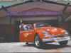 51vw.jpg (50973 bytes)
