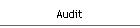 Audit